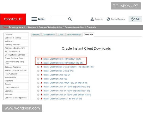 bbin ag is接口服务商：如何评估和选择合适的接口服务商以满足多样化需求