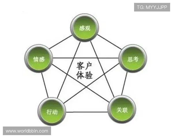 选择必赢平台享受高效便捷的在线交易体验与优质客户服务
