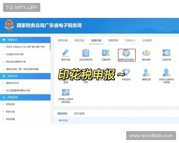 heb电子税务局平台操作指南详解帮助用户快速熟悉使用流程 heb电子税务局平台操作指南详解帮助用户快速熟悉使用流程